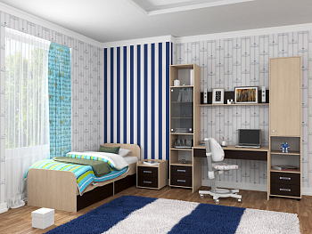 Детская комната ДЕЛЬТА Композиция 14